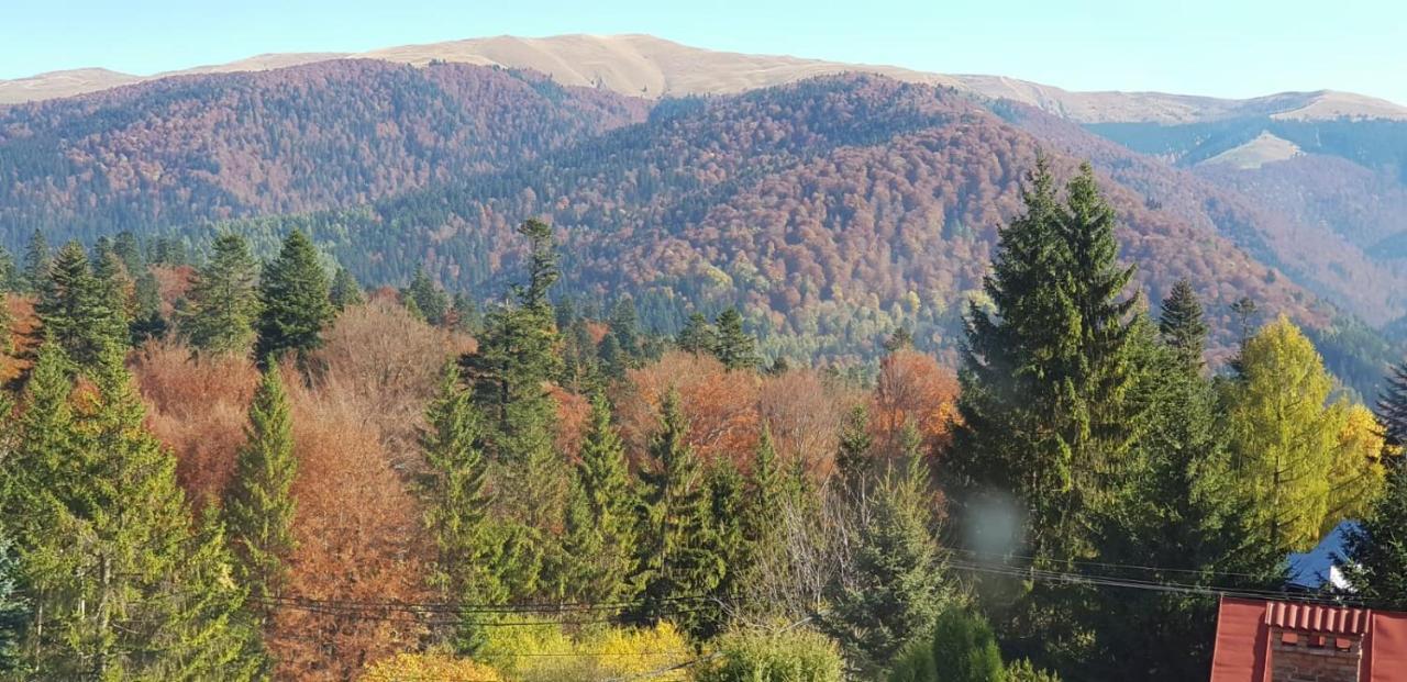Apartamente Private A&L View Sinaia Exteriör bild