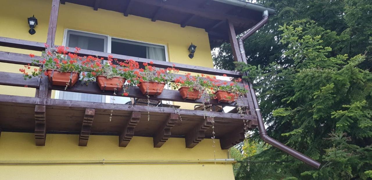 Apartamente Private A&L View Sinaia Exteriör bild