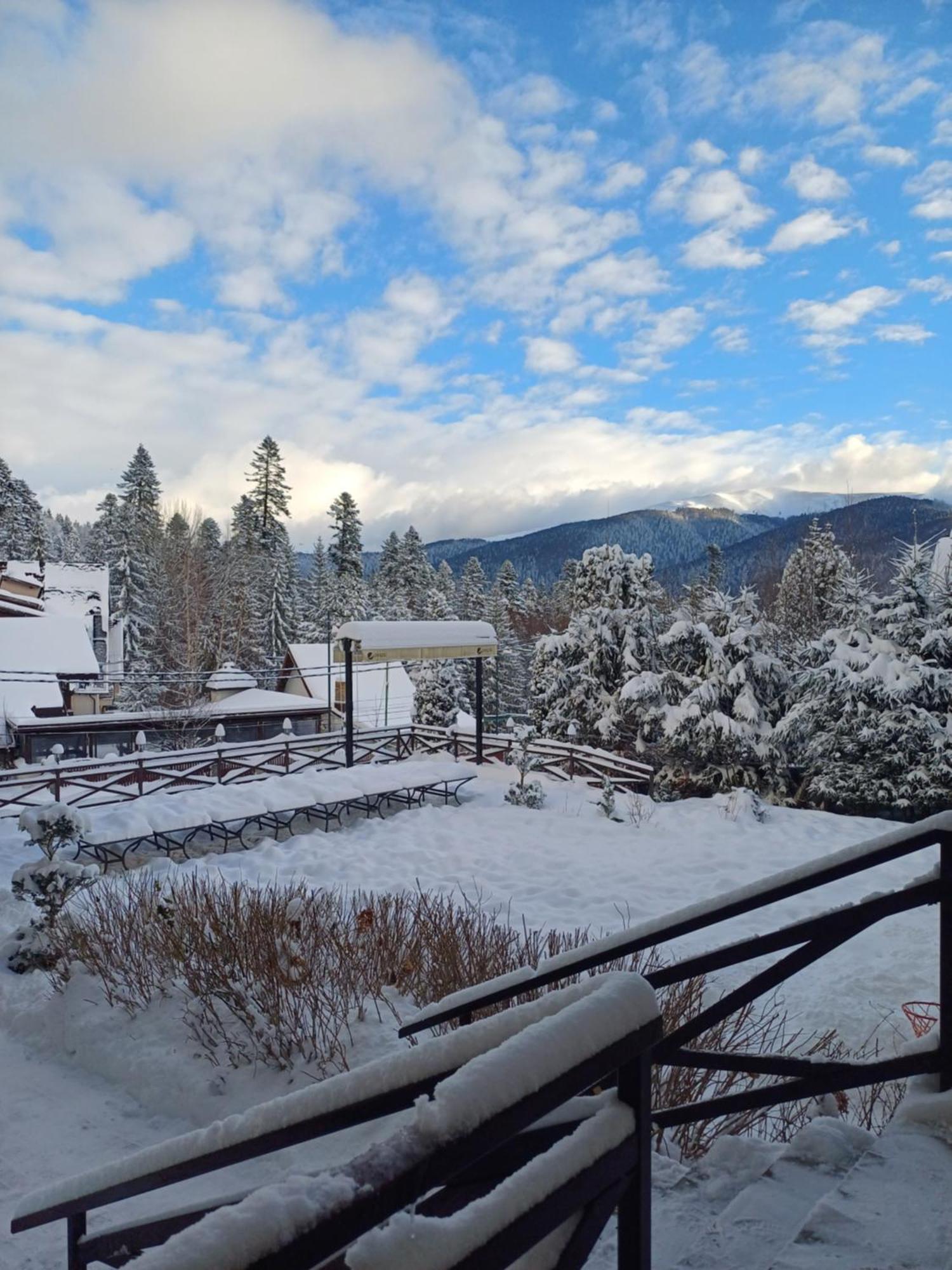Apartamente Private A&L View Sinaia Exteriör bild